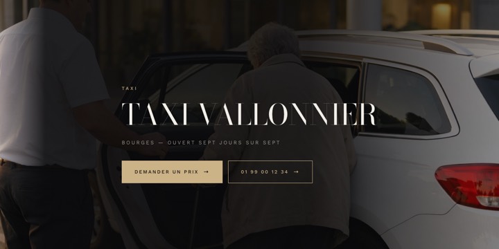 Modèle pour vtc, chauffeur privé