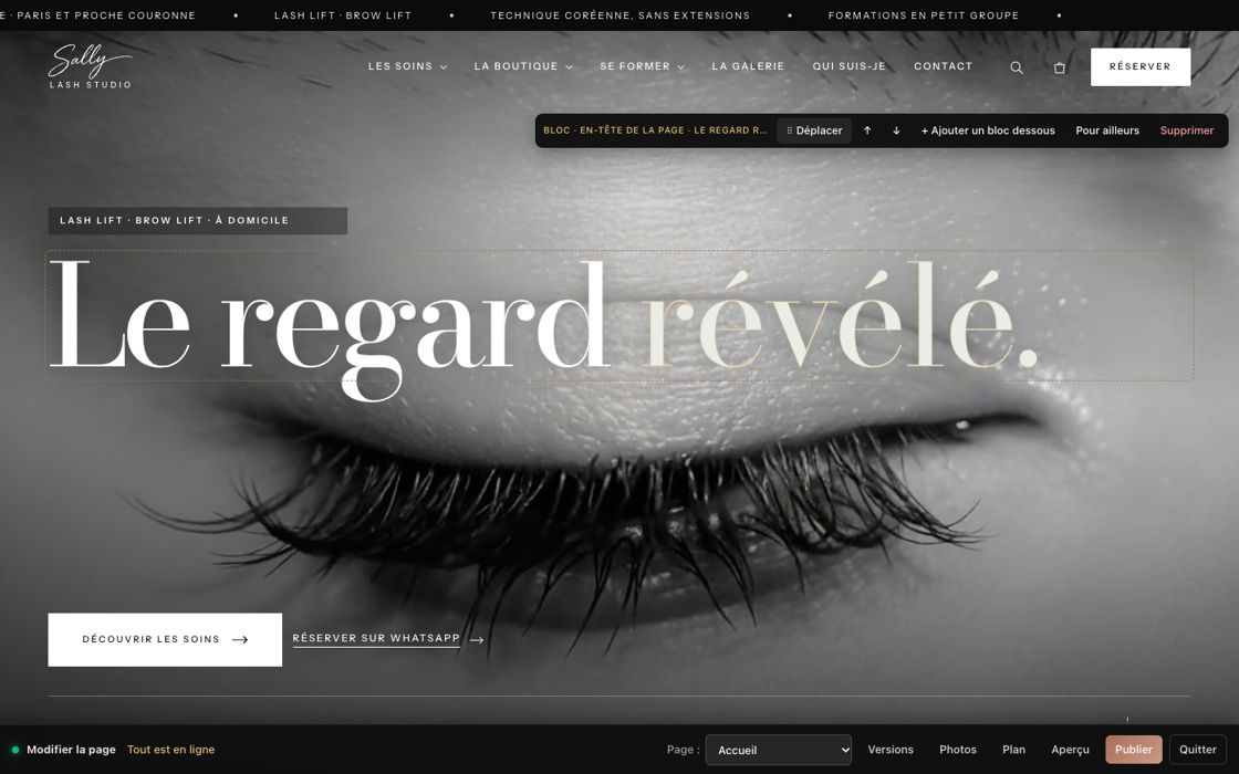 Éditeur sur le site — sallylashstudio.fr
